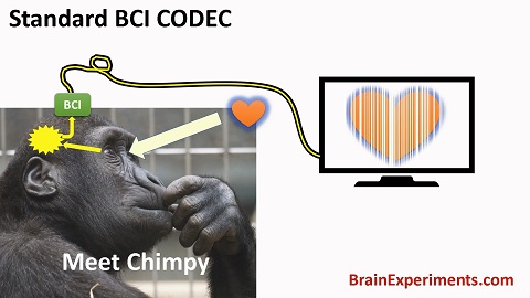 Conditioned Standard BCI CODEC